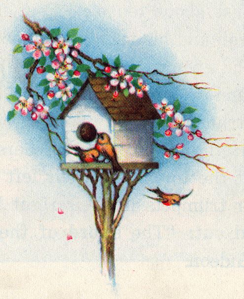 Birds and apple blossom